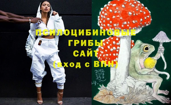 гидропоника Балахна