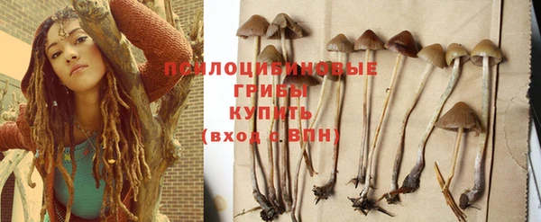 гидропоника Балахна