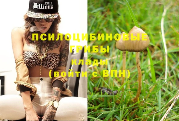 дурь Белоозёрский