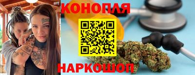 крисы Изобильный